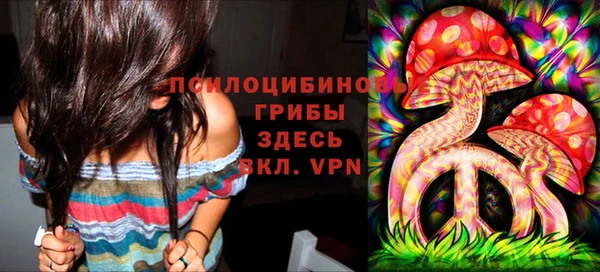 apvp Алексеевка