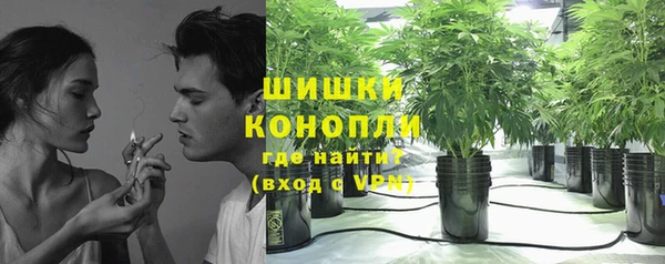 ECSTASY Абаза
