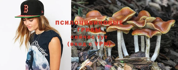 эйфоретик Абинск