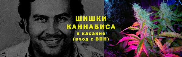 ECSTASY Абаза
