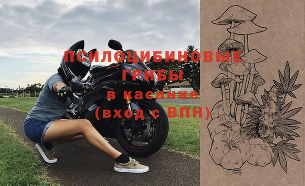 не бодяженный Алексин