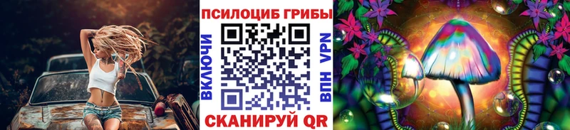 сколько стоит  Сергач  Псилоцибиновые грибы ЛСД 